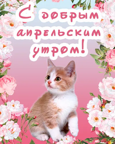 Картинки с Добрым утром апреля (155 открыток). Красивые картинки с надписью "Доброе утро апреля"