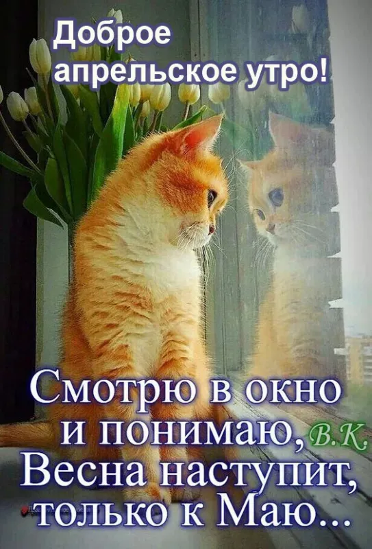 Картинки с Добрым утром апреля (155 открыток). Красивые картинки с надписью "Доброе утро апреля"