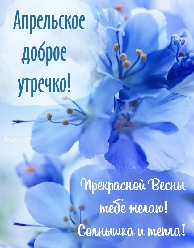 Картинки с Добрым утром апреля (155 открыток). Красивые картинки с надписью "Доброе утро апреля"