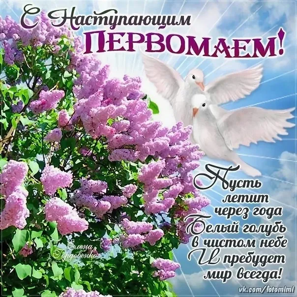 Картинки с наступающим 1 мая (25 открыток). Красивые картинки с наступающим 1 мая
