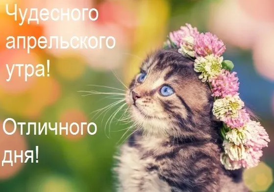 Картинки с Добрым утром апреля (155 открыток). Красивые картинки с надписью "Доброе утро апреля"