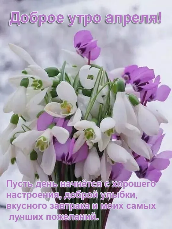 Картинки с Добрым утром апреля (155 открыток). Красивые картинки с надписью "Доброе утро апреля"