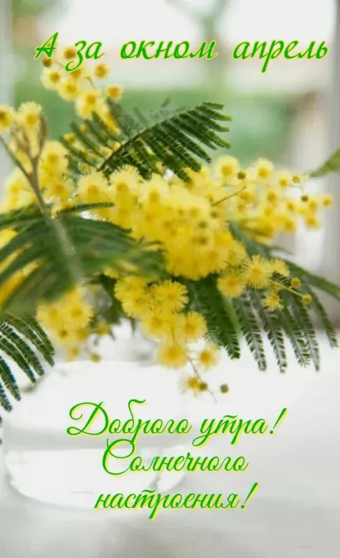 Картинки с Добрым утром апреля (155 открыток). Красивые картинки с надписью "Доброе утро апреля"