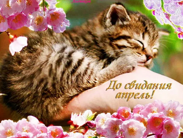 Картинки с Последним днем апреля (40 открыток). Картинки с надписью "До свидания, апрель"