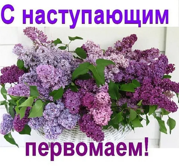 Картинки с наступающим 1 мая (25 открыток). Красивые картинки с наступающим 1 мая