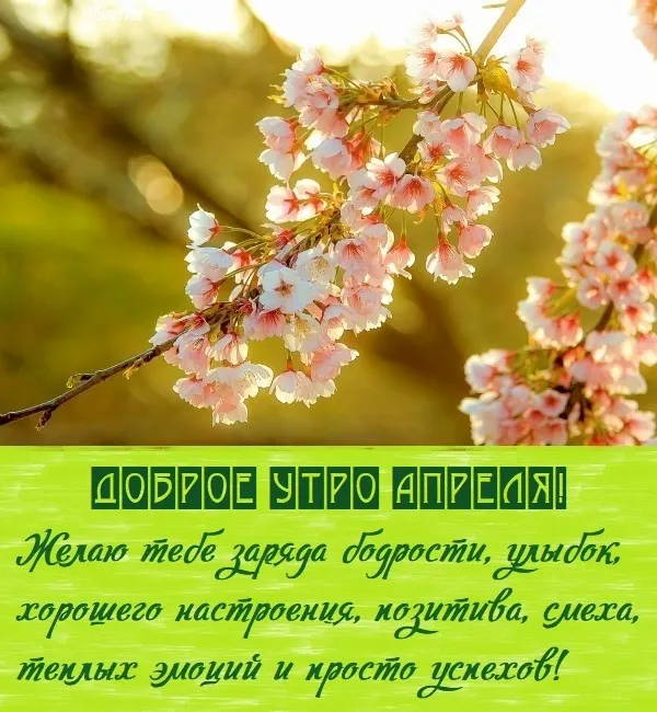 Картинки с Добрым утром апреля (155 открыток). Красивые картинки с надписью "Доброе утро апреля"