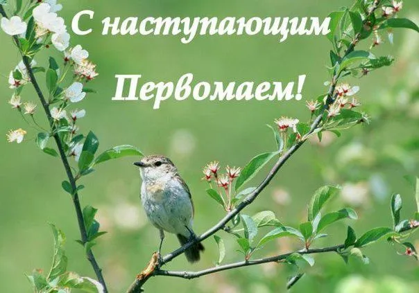 Картинки с наступающим 1 мая (25 открыток). Красивые картинки с наступающим 1 мая