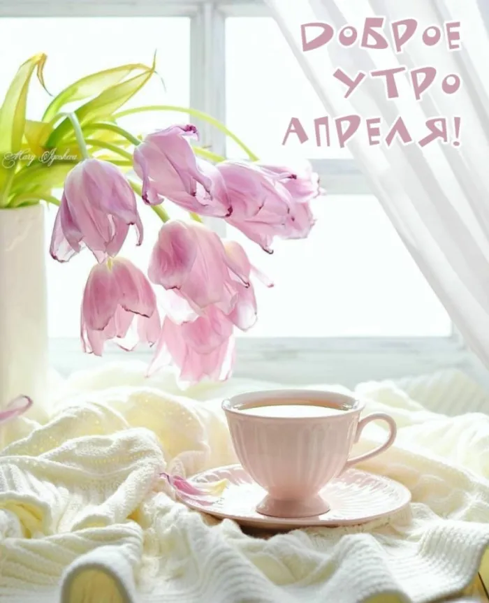Картинки с Добрым утром апреля (155 открыток). Красивые картинки с надписью "Доброе утро апреля"