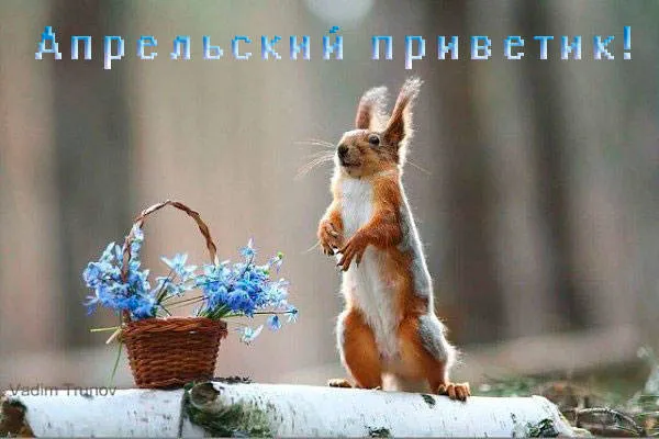 Картинки с Добрым утром апреля (155 открыток). Красивые картинки с надписью "Доброе утро апреля"