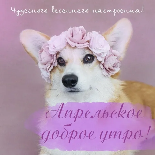 Картинки с Добрым утром апреля (155 открыток). Красивые картинки с надписью "Доброе утро апреля"