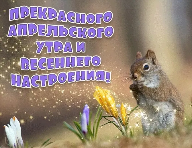 Картинки с Добрым утром апреля (155 открыток). Красивые картинки с надписью "Доброе утро апреля"