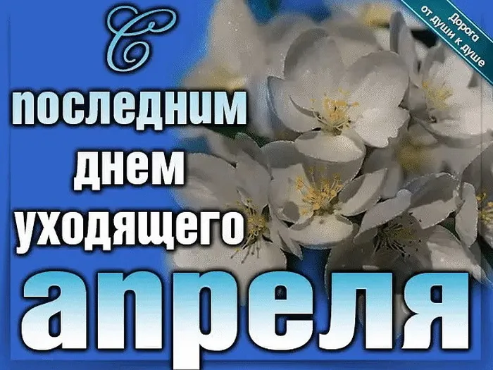 Картинки с Последним днем апреля (40 открыток). Красивые и прикольные картинки с последним днем апреля
