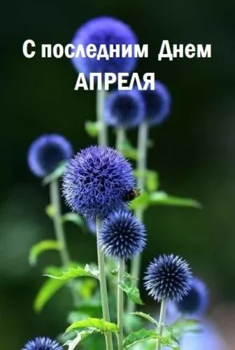Картинки с Последним днем апреля (40 открыток). Красивые и прикольные картинки с последним днем апреля