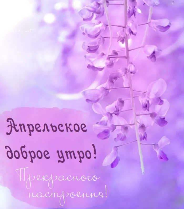 Картинки с Добрым утром апреля (155 открыток). Красивые картинки с надписью "Доброе утро апреля"