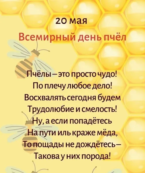 Картинки со Всемирным днем пчел (40 открыток). Красивые картинки с Днем пчел