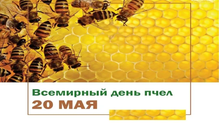 Картинки со Всемирным днем пчел (40 открыток). Красивые картинки с Днем пчел