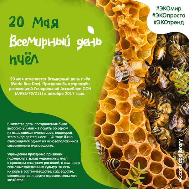 Картинки со Всемирным днем пчел (40 открыток). Красивые картинки с Днем пчел
