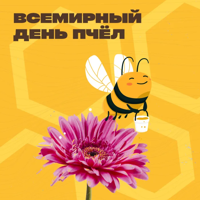 Картинки со Всемирным днем пчел (40 открыток). Красивые картинки с Днем пчел