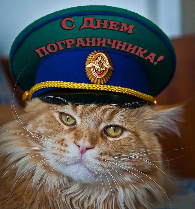 Красивые открытки с Днем пограничника (105 открыток). Картинки с надписями и поздравлениями