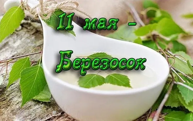 Картинки на Березосок (15 открыток). Березосок: красивые картинки