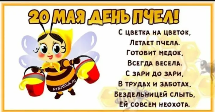 Картинки со Всемирным днем пчел (40 открыток). Красивые картинки с Днем пчел