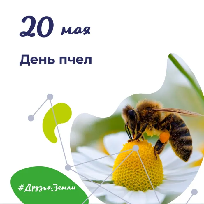 Картинки со Всемирным днем пчел (40 открыток). Красивые картинки с Днем пчел