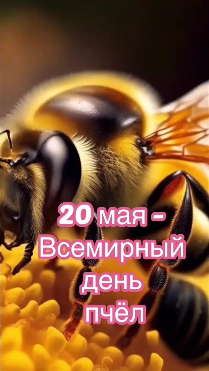 Картинки со Всемирным днем пчел (40 открыток). Красивые картинки с Днем пчел
