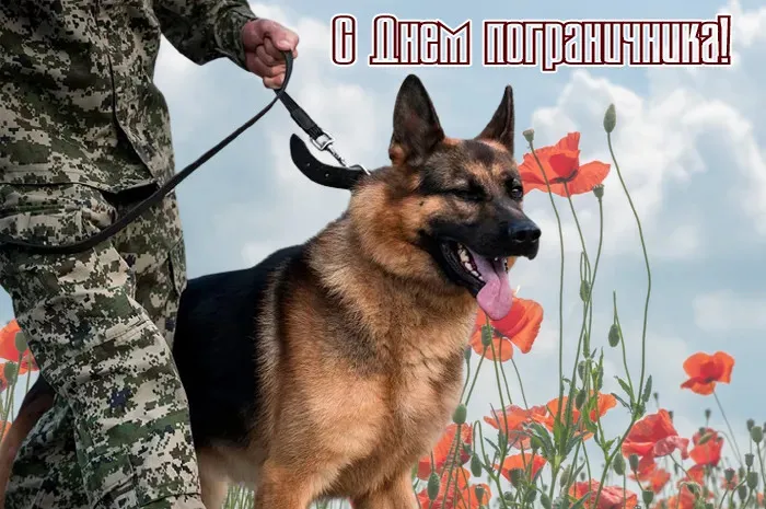Красивые открытки с Днем пограничника (105 открыток). Картинки с надписями и поздравлениями