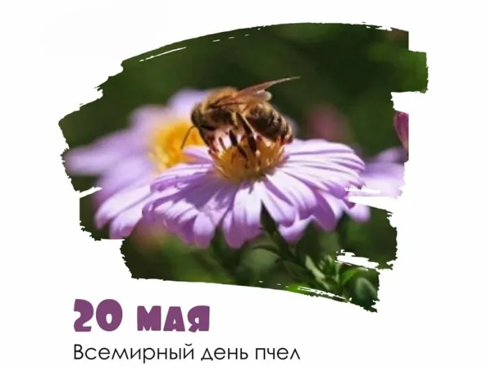 Картинки со Всемирным днем пчел (40 открыток). Красивые картинки с Днем пчел