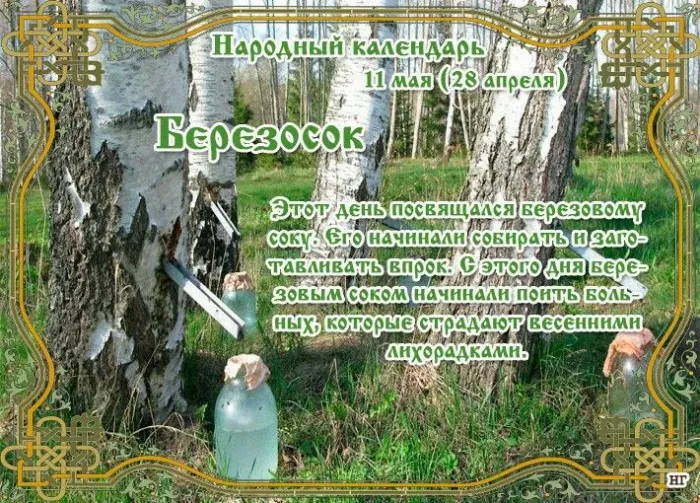 Картинки на Березосок (15 открыток). Березосок: красивые картинки