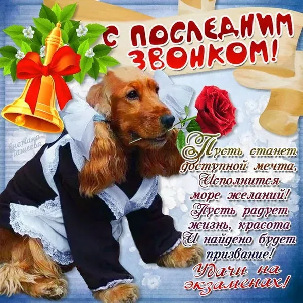 Картинки с Последним звонком (125 открыток). Красивые картинки с Последним звонком