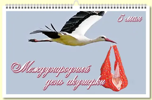 Картинки с Международным днем акушерки (65 открыток). Красивые картинки с Днем акушерки