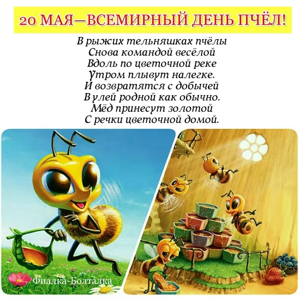 Картинки со Всемирным днем пчел (40 открыток). Красивые картинки с Днем пчел