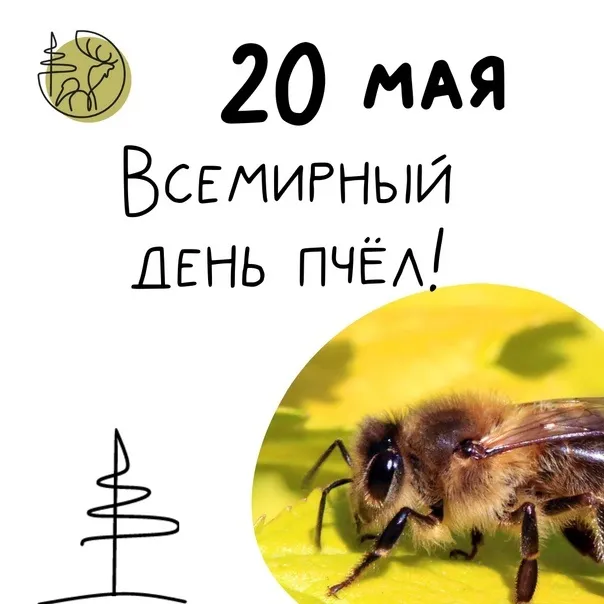 Картинки со Всемирным днем пчел (40 открыток). Красивые картинки с Днем пчел