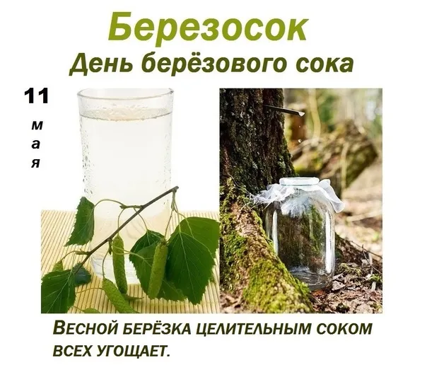 Картинки на Березосок (15 открыток). Березосок: красивые картинки