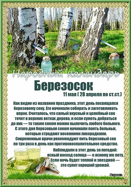 Картинки на Березосок (15 открыток). Березосок: красивые картинки