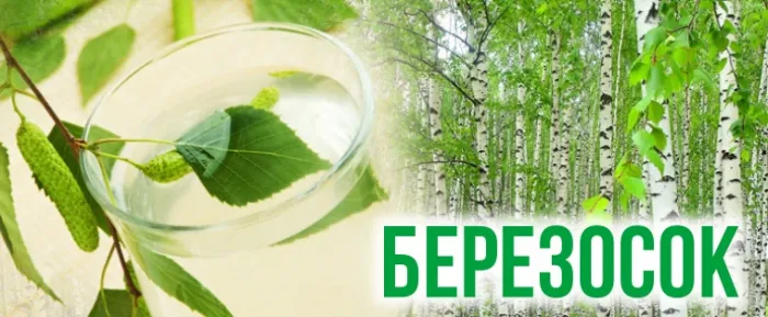 Картинки на Березосок (15 открыток). Березосок: красивые картинки