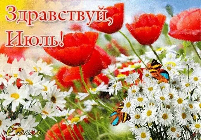 Картинки с первым днем июля (95 открыток). Красивые картинки с первым днем июля