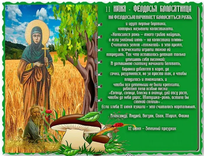 Картинки Феодосья Колосятница (17 открыток). Феодосья Колосятница: красивые картинки с надписями