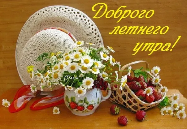 Картинки с Добрым утром лета (230 открыток). Красивые и позитивные картинки Доброе летнее утро