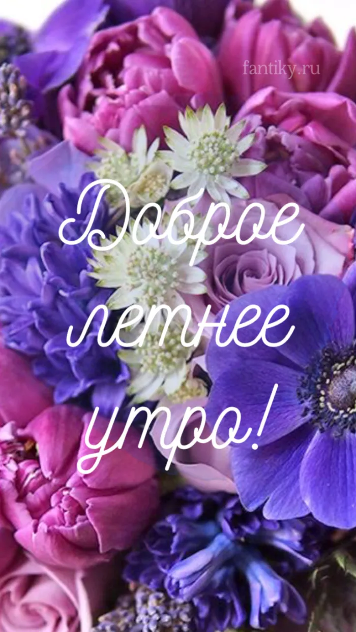 Картинки с Добрым утром лета (230 открыток). Красивые и позитивные картинки Доброе летнее утро