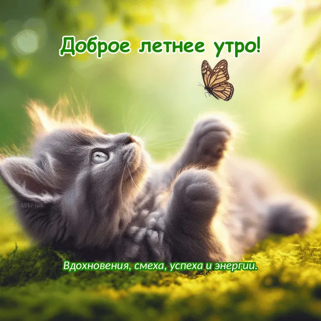 Картинки с Добрым утром лета (230 открыток). Красивые и позитивные картинки Доброе летнее утро