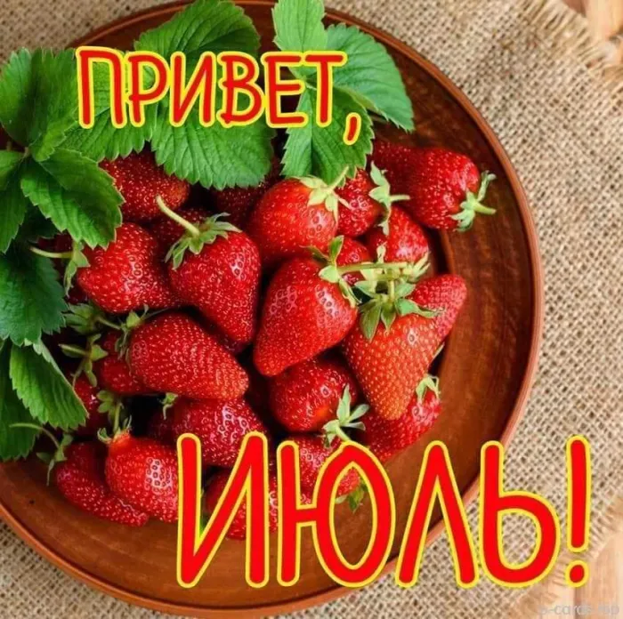 Картинки с первым днем июля (95 открыток). Красивые картинки с первым днем июля