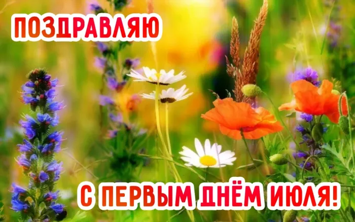 Картинки с первым днем июля (95 открыток). Красивые картинки с первым днем июля