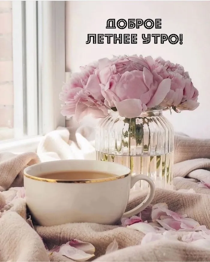 Картинки с Добрым утром лета (230 открыток). Красивые и позитивные картинки Доброе летнее утро