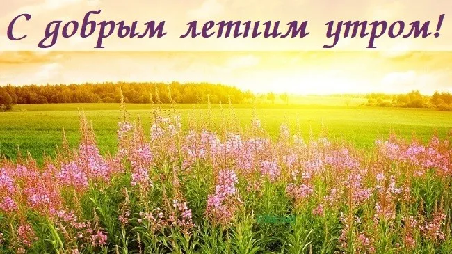 Картинки с Добрым утром лета (230 открыток). Красивые и позитивные картинки Доброе летнее утро