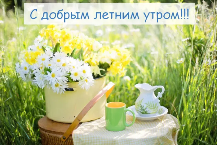 Картинки с Добрым утром лета (230 открыток). Красивые и позитивные картинки Доброе летнее утро