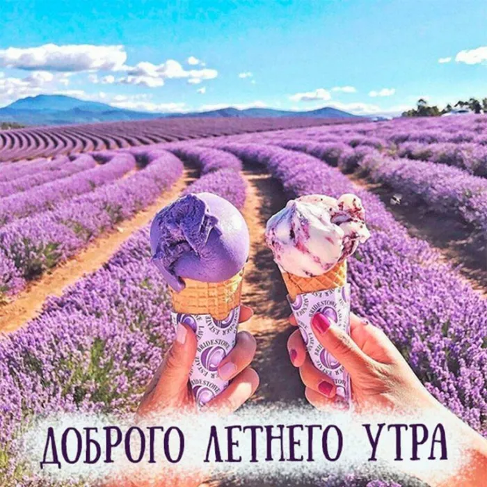 Картинки с Добрым утром лета (230 открыток). Красивые и позитивные картинки Доброе летнее утро