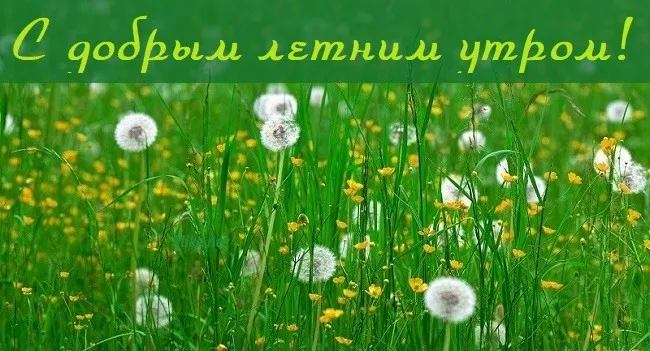 Картинки с Добрым утром лета (230 открыток). Красивые и позитивные картинки Доброе летнее утро