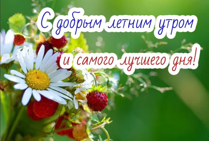 Картинки с Добрым утром лета (230 открыток). Красивые и позитивные картинки Доброе летнее утро